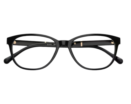 Burberry BE2172 Bril
