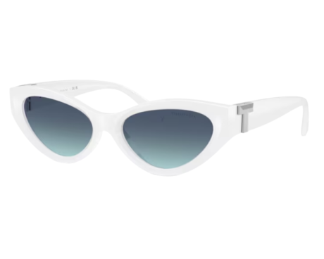 222643-Lunettes de soleil Tiffany & Co TF4225U