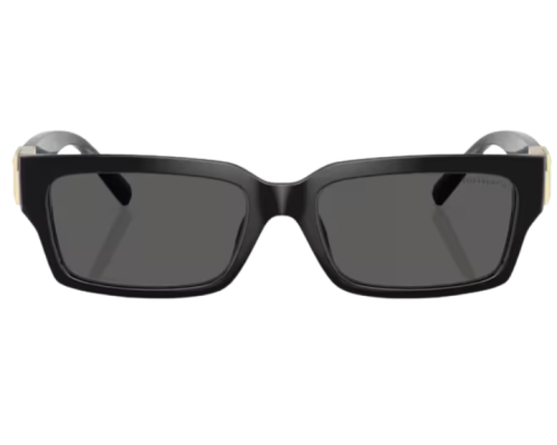 Lunettes de soleil Tiffany & Co TF4226U
