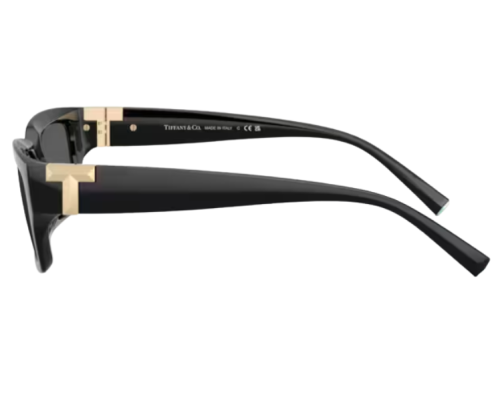Lunettes de soleil Tiffany & Co TF4226U