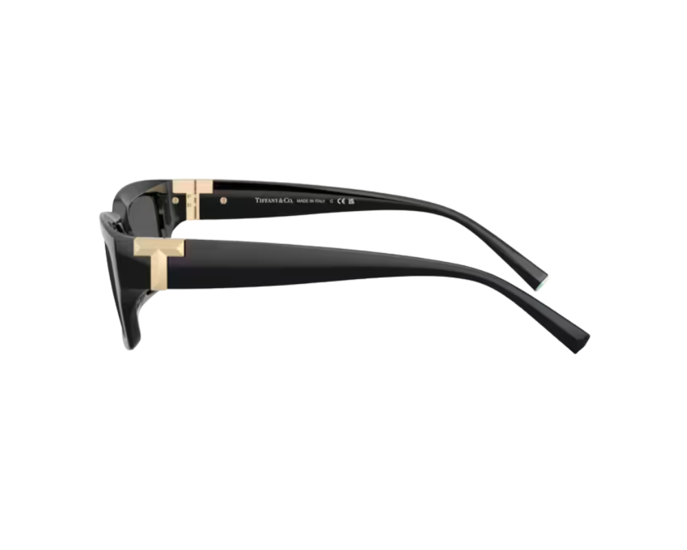 Lunettes de soleil Tiffany & Co TF4226U