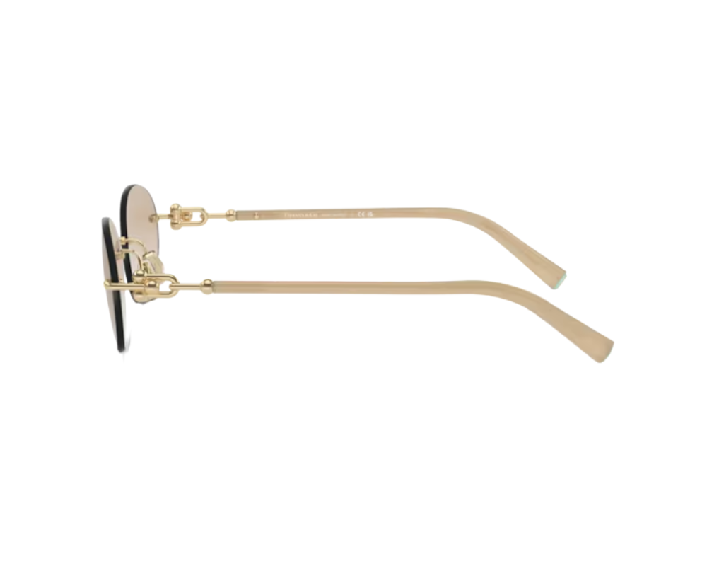 Lunettes de soleil Tiffany & Co TF3104D