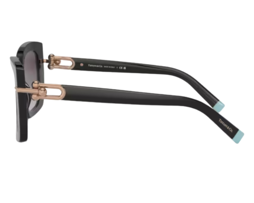 Lunettes de soleil Tiffany & Co TF4199