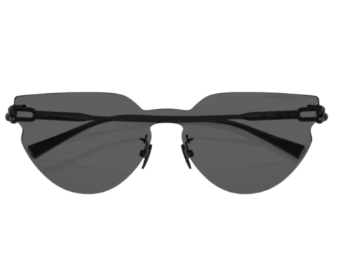 Lunettes de soleil Tiffany & Co TF3097TD