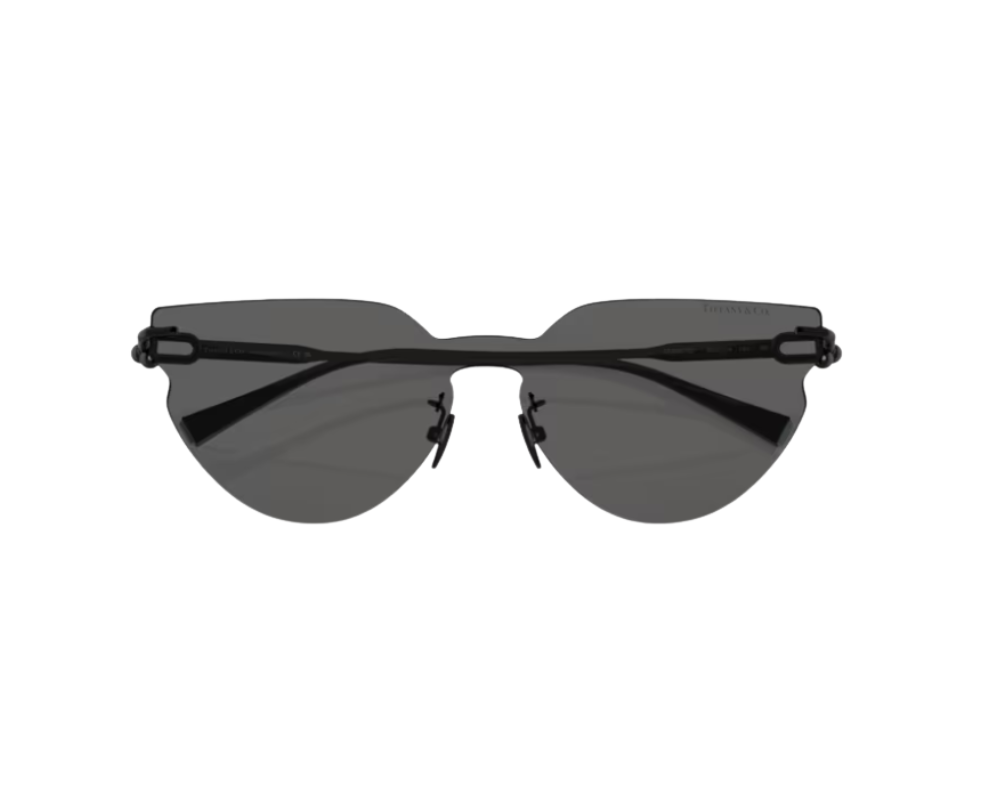 Lunettes de soleil Tiffany & Co TF3097TD