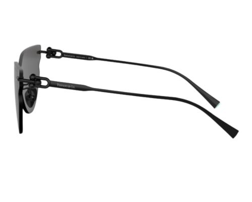 Lunettes de soleil Tiffany & Co TF3097TD