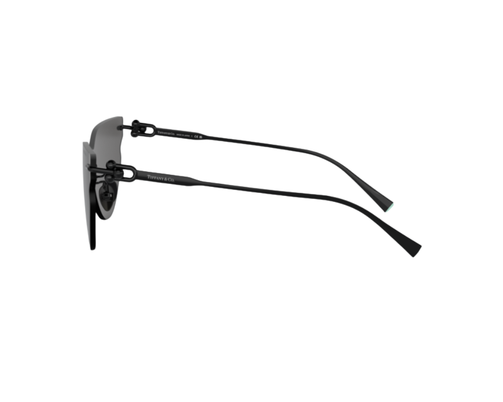 Lunettes de soleil Tiffany & Co TF3097TD