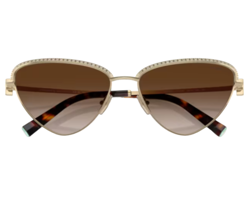 Lunettes de soleil Tiffany & Co TF3107KB