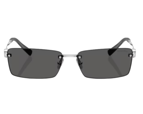 Lunettes de soleil Tiffany & Co TF3108B