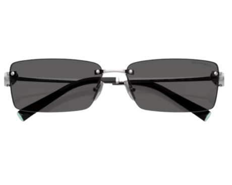 222833-Lunettes de soleil Tiffany & Co TF3108B