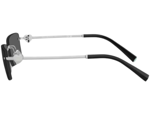 Lunettes de soleil Tiffany & Co TF3108B