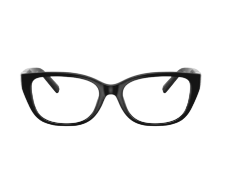 223091-Tiffany & Co Bril TF2254BU