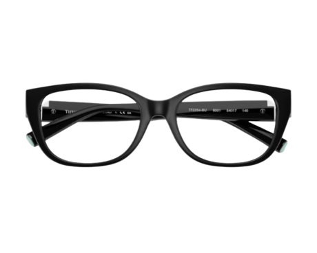 223092-Tiffany & Co Bril TF2254BU