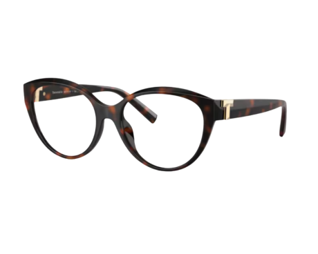 223109-Tiffany & Co Bril TF2255U