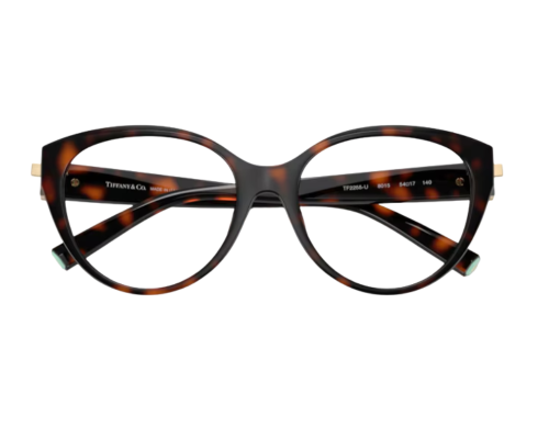 Tiffany & Co Bril TF2255U