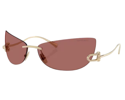 Lunettes de soleil Tiffany & Co TF3112K