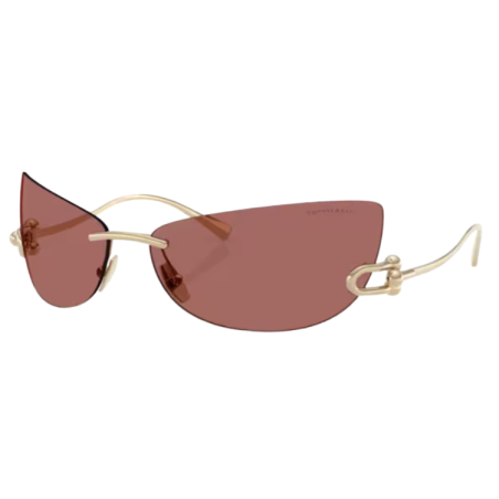 Lunettes de soleil Tiffany & Co TF3112K