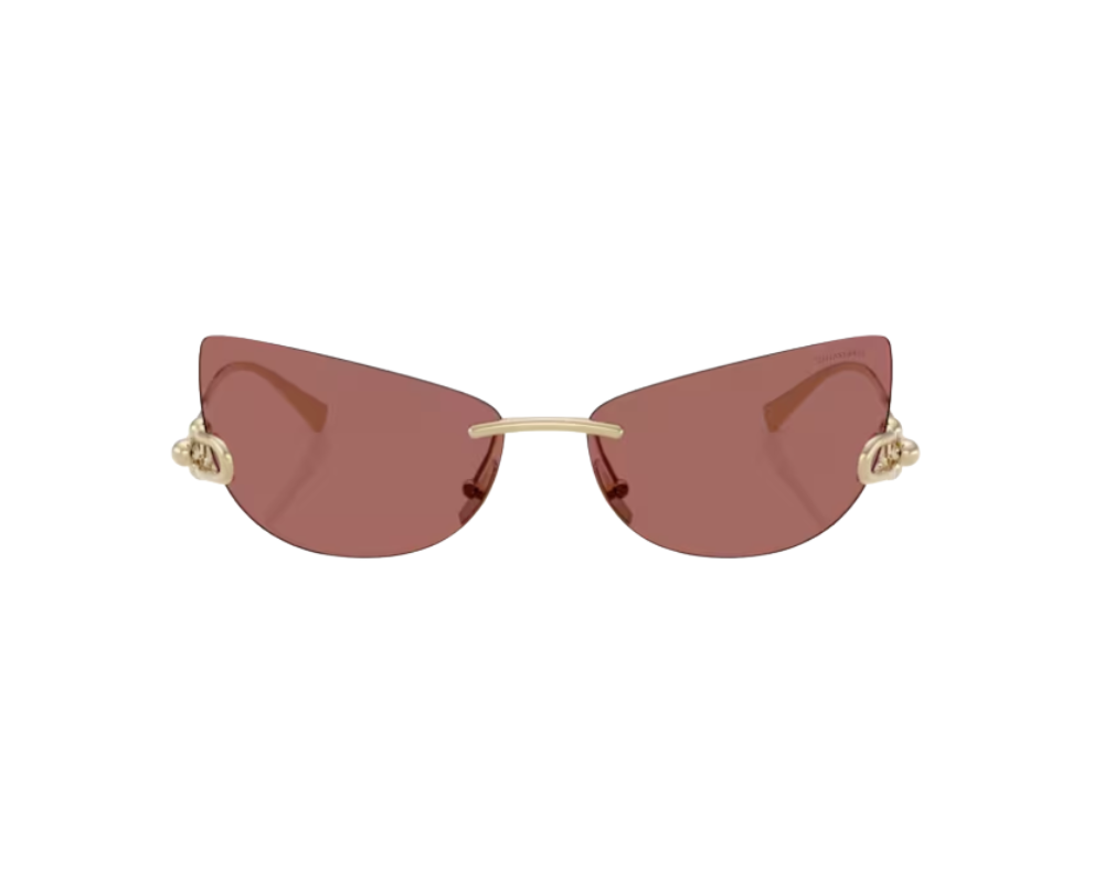 Lunettes de soleil Tiffany & Co TF3112K