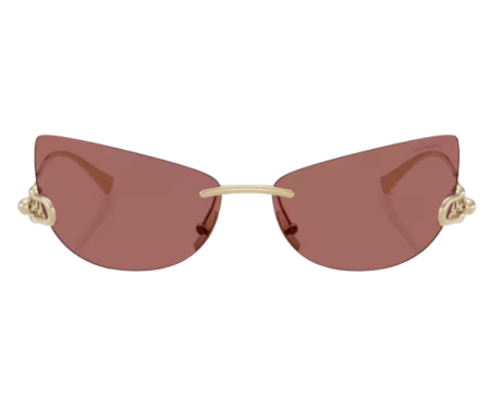 223251-Lunettes de soleil Tiffany & Co TF3112K