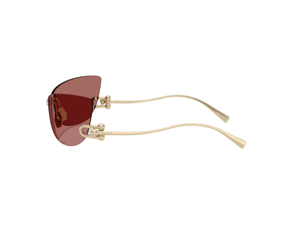 Lunettes de soleil Tiffany & Co TF3112K