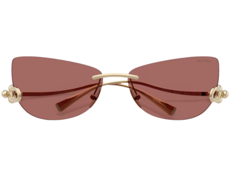 223253-Lunettes de soleil Tiffany & Co TF3112K
