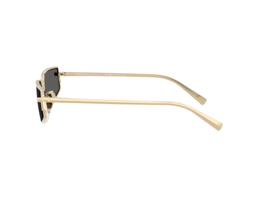 Lunettes de soleil Tiffany & Co TF3113KB
