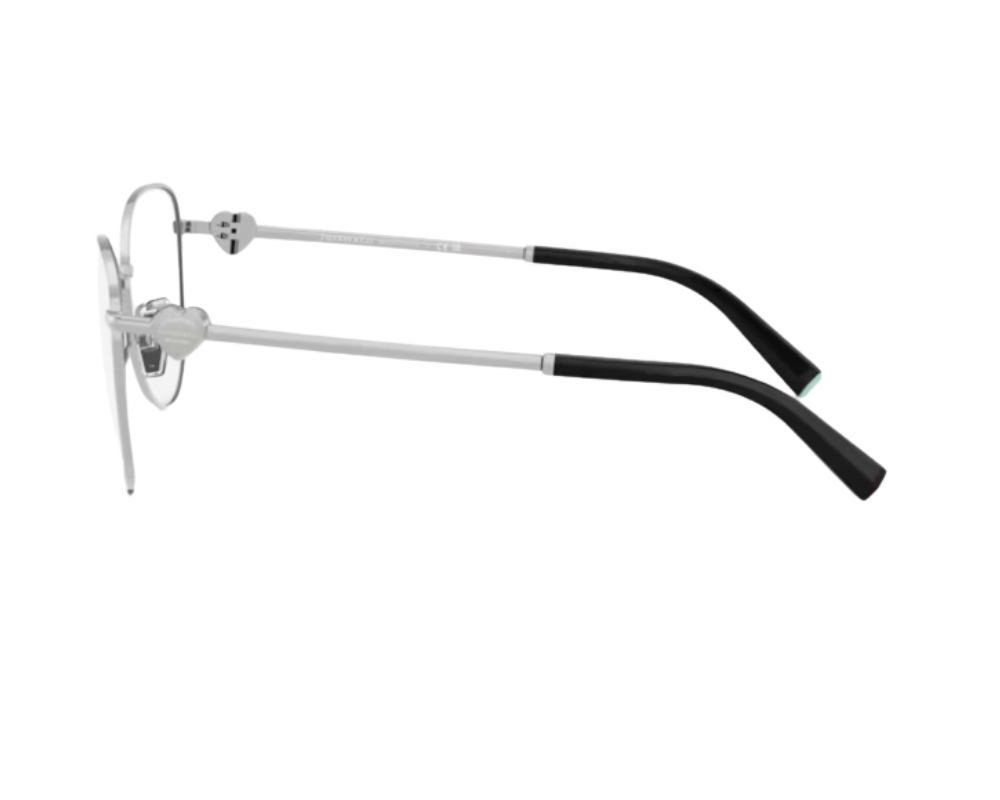 Tiffany & Co Bril TF1163B