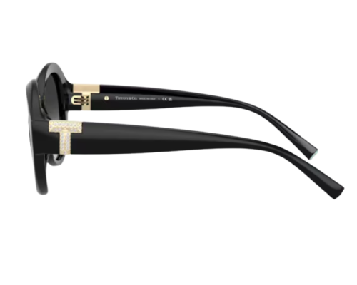 Lunettes de soleil Tiffany & Co TF4227BU