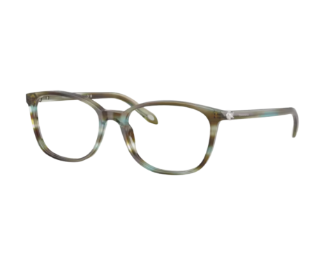 223854-Tiffany & Co Bril TF2109HB