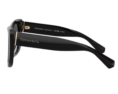 Lunettes de soleil Tiffany & Co TF4229