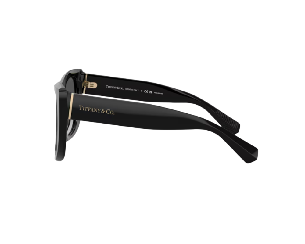 Lunettes de soleil Tiffany & Co TF4229