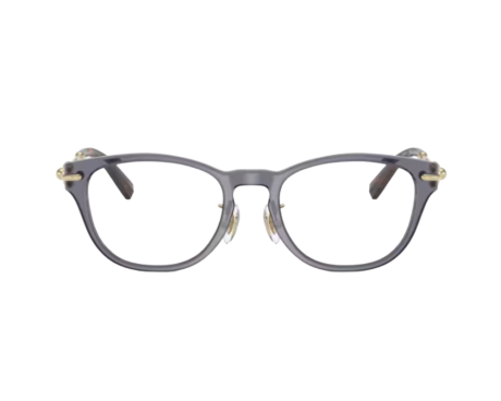 223935-Tiffany & Co Bril TF2237D