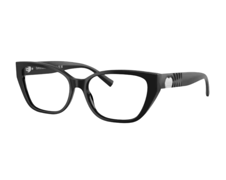 224282-Tiffany & Co Bril TF2259