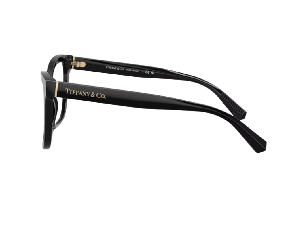 Tiffany & Co Bril TF2260