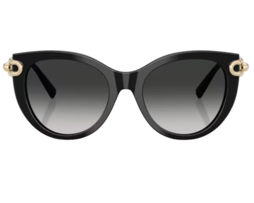Lunettes de soleil Tiffany & Co TF4232
