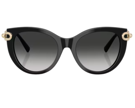 224336-Lunettes de soleil Tiffany & Co TF4232