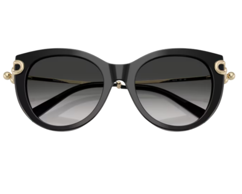 Zonnebril Tiffany & Co TF4232