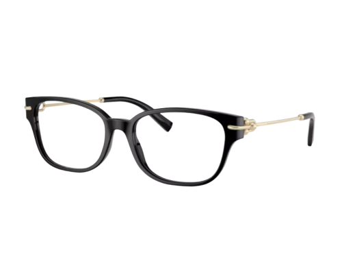 Tiffany & Co Bril TF2262