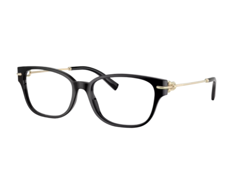 224381-Tiffany & Co Bril TF2262
