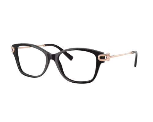 Tiffany & Co Bril TF2266