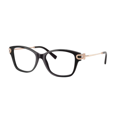 Tiffany & Co Bril TF2266