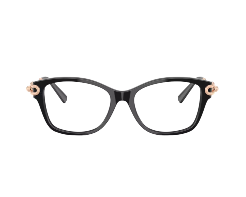 Tiffany & Co Bril TF2266