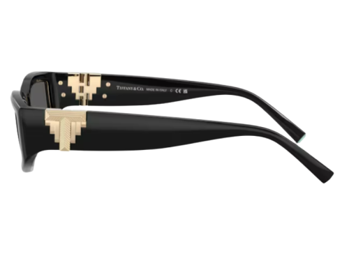 Zonnebril Tiffany & Co TF4234U