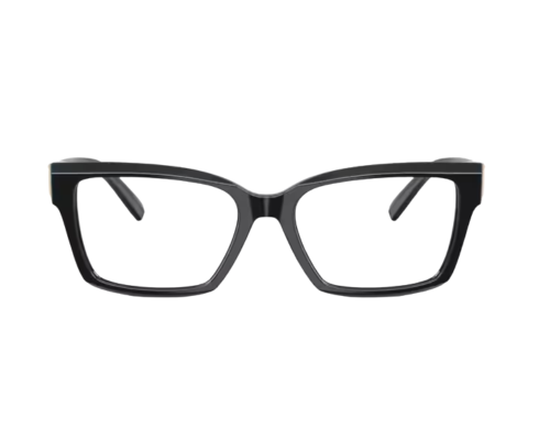 Tiffany & Co Bril TF2267