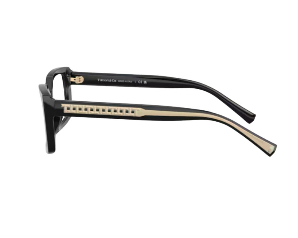Tiffany & Co Bril TF2269U