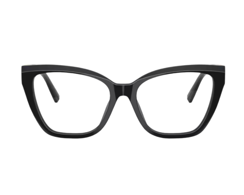 Tiffany & Co Bril TF2271