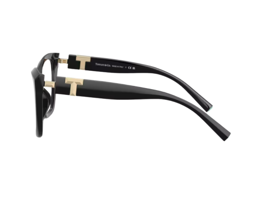 Tiffany & Co Bril TF2271