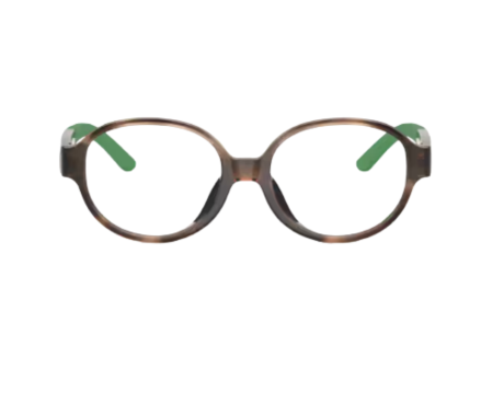 225314-Lunettes de vue Polo Ralph Lauren PP8552