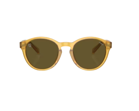 225384-Lunettes de soleil Ray Ban PP9505U