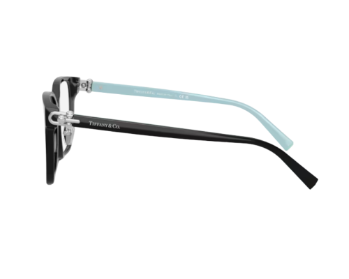 Tiffany & Co Bril TF2274D
